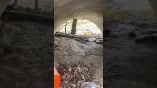 Кормление бездомных животных в войну. Неожиданная перестрелка. / Ukraine. War. Animals