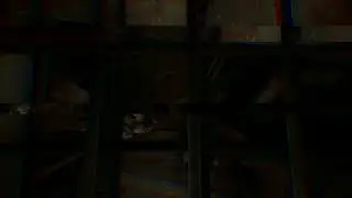 rat1