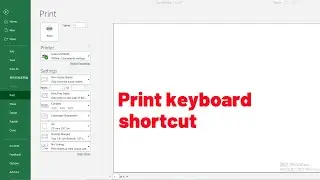 How to do basic print using keyboard shortcuts in Excel.