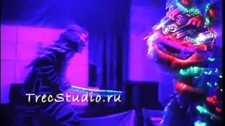 Световой дракон / Шоу со световым драконом и воином 🐲⚔ Trec Studio