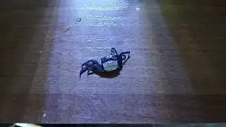 Есть потери,а что делать...