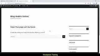 Cara Setting Plugin All 404 Redirect to Homepage