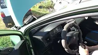 Peugeot 307 Euro 2 remap, catalytic converter delete: will it help or not?