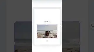 Quickly and easily add rounded corners to images in Canva- Tutorial