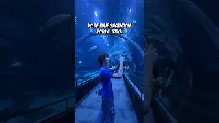 FUI A UN ACUARIO EN RIO DE JANEIRO