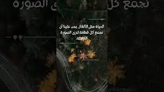 الحياة مثل الألغاز، يجب علينا أن نجمع كل قطعة لنرى الصورة الكاملة   إيرين كيلمنتس   حكم وقصص واقتباس