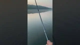 Неуловимый жерех!😏🎣 #рыбалка #природа #путешествие #пейзажи #подпишись #блогер #топ