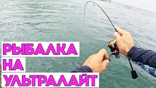 CAUGHT 4 TYPES OF FISH. EXCELLENT FISHING IN THE RAIN WITH ULTRALIGHT.