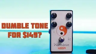 Warm Audio Warmdrive D-Style Amp-In-A-Box