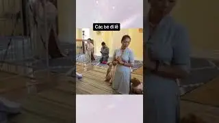 О, великий Будда! Во Вьетнаме собаки молятся вместе с хозяевами