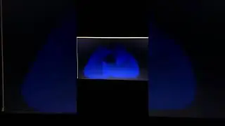 amazing animation code (python turtle graphics)