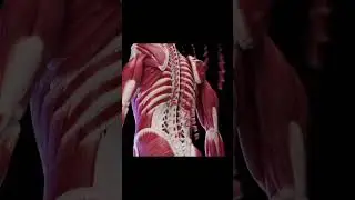 NEET ASPIRANTS 2022 🥺/ motivational videos NEET @motivationaldoc