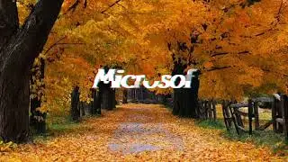 НОВАНОВАЯ АНИМАЦИЯ | после установки/обновления | Schwindows 7.0 | SchwinSokol 1.0 | Microsof