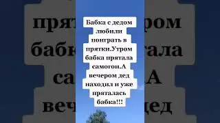 Игра в прятки #юмор # цитаты #афоризмы