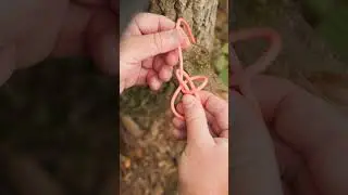Build A Bushcraft Ladder Using A Square Lash #bushcraft #survival #camping