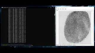 Fingerprints biometric data conversion