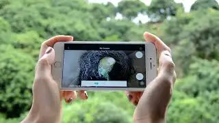 Wifi Bird Box Camera  Quick Installation And Wiew Live Video on Your Mobile Phone