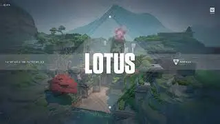 ACE WAIPE LOTUS 2024 05 21