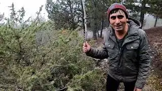 SOĞUK VE  ÇOK SİSLİ  BİR GÜN KIRMIZI ŞAPKA BUGÜN ÇOK ÖFKELİ ☺