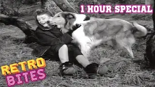 Lassie | 1 Hour Special | Lassie English Full Episodes  🐕