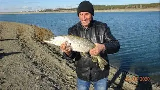 Рыбалка.Щука 3.500 кг. на тарань.2020Г.