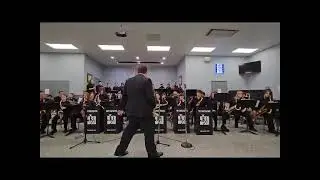 Windsor Jazz Megaband- Honk