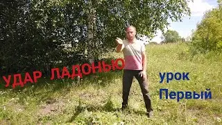 Удар Ладонью. Техника Шоу-дао