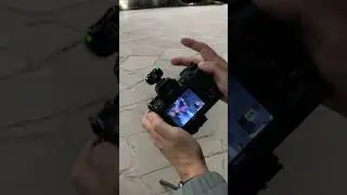 Повторяем видео с кормом для собак) Shorts