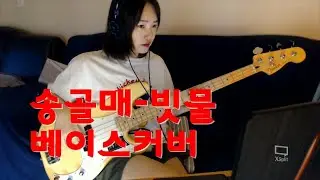 송골매-빗물 베이스커버