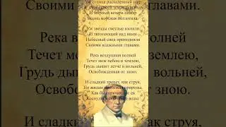 #shorts #стихи Ф.И.Тютчев — Летний вечер