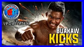 👊Buakaw Training Kicks เตะแก้หนาว