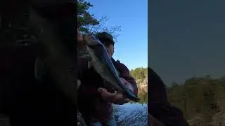 Boothbay bass fishin.  #fishing #bass #tackler #maine