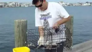 How to catch crabs using a Crab Trap or Crab Pot