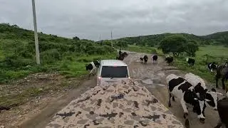 База отдыха 