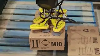 Automation Hub | Paltz Industrial Palletizer (I35)