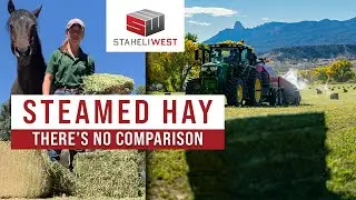 Superior Hay Quality: Exploring Steamed Hay with Haley Ruffner at Aden Brook