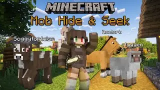 We Played the Most CHAOTIC Game of Mob Hide and Seek...