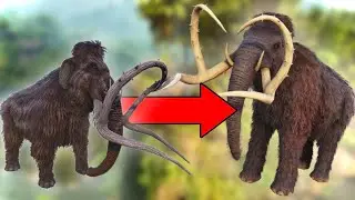 Every Creature With A TLC Update In Ark!