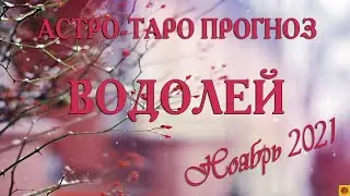 ВОДОЛЕЙ - Ноябрь 2021. АСТРО-ТАРО прогноз.