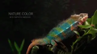 Particle Builder-Elemental Gear Fire Sand Smoke Particular Presets ( After Effects Project Files)