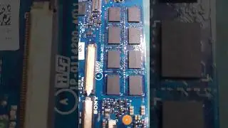 Ram 
