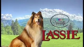 TRT UNUTULMAZ DİZİ LASSİE ( 1989 )