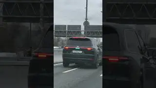 Что светится на лисяне ?