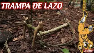 TRAMPA de Cacería // Supervivencia, Como hacer trampas de CACERÍA