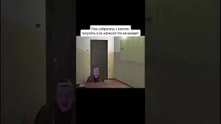 Собрались с Кентом гулять👆