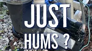 Pool Pump Humming or not starting easy fix!  Even if your pool pump is working - watch this!