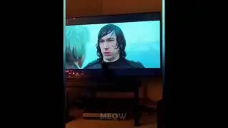 Try Not To Laugh   Dogs And Cats Reaction
