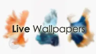 How to put live wallpaper on android/tablet/iphone