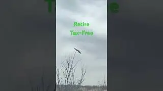 Hawk thinks about flying through Jeep, but chickens out.
