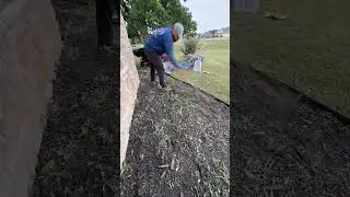 Cleaning out this super overgrown flowerbed! #dslawnandlandscape #landscaping #landscapeideas